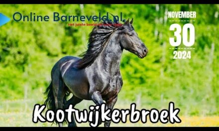 Paardenspektakel Kootwijkerbroek | 2024